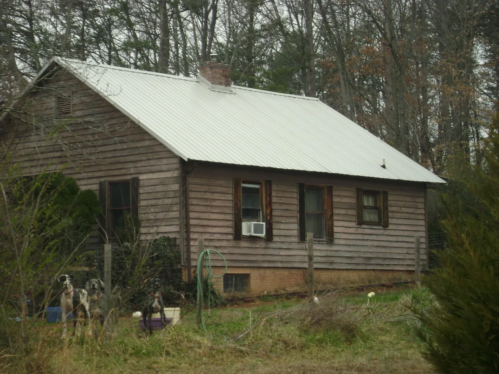 White metal roof on an old wood sided farmhouse, from a Asphalt Shingle Roof Repair job in Port Republic